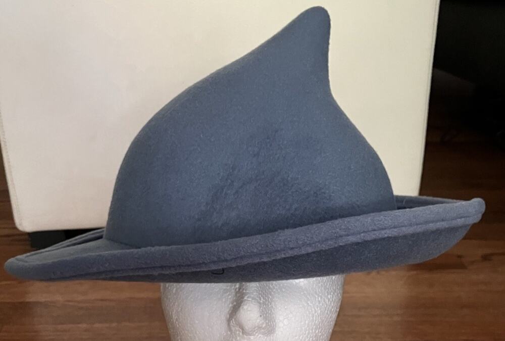 Harry Potter Fleur Delacour Beauxbatons Wizard Hat Halloween Costume Cosplay